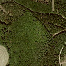 Satellite imagery of Junkersberg, DE