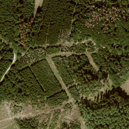 Satellite imagery of Junkersberg, DE