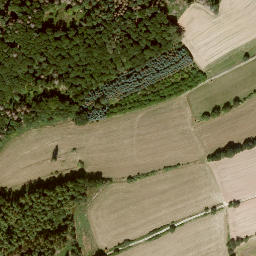 Satellite imagery of Junkersberg, DE