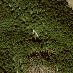 Satellite imagery of Mittelberg, DE