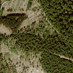 Satellite imagery of Mittelberg, DE