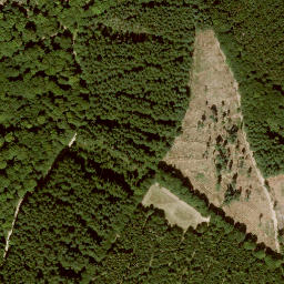 Satellite imagery of Hundsrück, DE