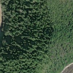 Satellite imagery of Wilkie Point, CA
