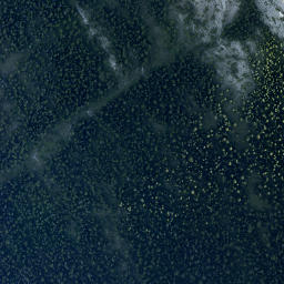 Satellite imagery of Sulphur Mountain, CA
