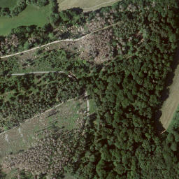 Satellite imagery of Mühlberg, DE