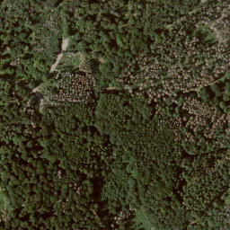 Satellite imagery of Wolfschur, DE