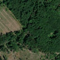 Satellite imagery of Rosenberg, DE