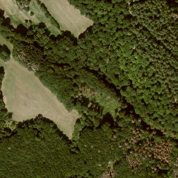 Satellite imagery of Mäuseberg, DE