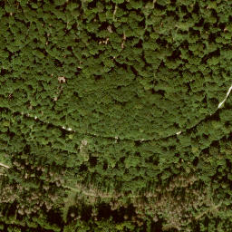 Satellite imagery of Kirchberg, DE