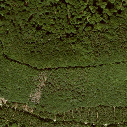 Satellite imagery of Rößlerskopf, DE