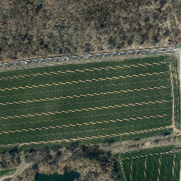 Satellite imagery of Mühlberg, DE