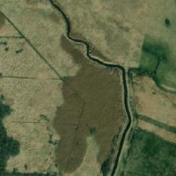 Satelita