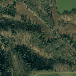 Satellite imagery of Burg Castle, DE