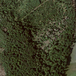 Satellite imagery of Mühlberg, DE
