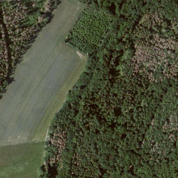 Satellite imagery of Mühlberg, DE