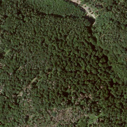 Satellite imagery of Nitter, DE