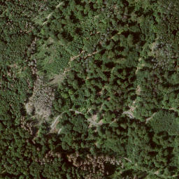 Satellite imagery of Nitter, DE