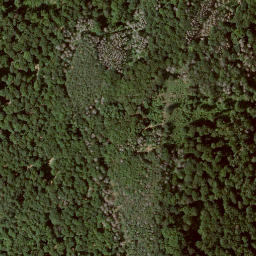 Satellite imagery of Wolfschur, DE