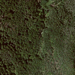 Satellite imagery of Wolfschur, DE