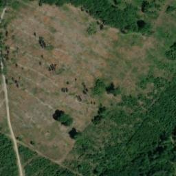 Satellite imagery of Rosenberg, DE