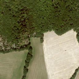 Satellite imagery of Junkersberg, DE