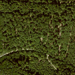 Satellite imagery of Kirchberg, DE