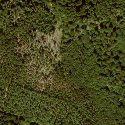 Satellite imagery of Kirchberg, DE