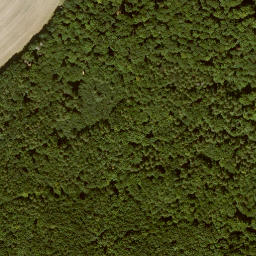 Satellite imagery of Lerchensberg, DE
