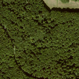 Satellite imagery of Rößlerskopf, DE