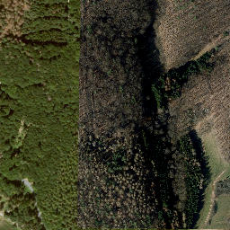 Satellite imagery of Schiefergrundskopf, DE