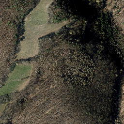 Satellite imagery of Schiefergrundskopf, DE