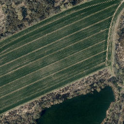 Satellite imagery of Mühlberg, DE