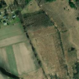 Satelita