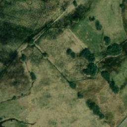Satelita
