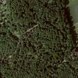 Satellite imagery of Mühlberg, DE
