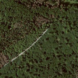 Satellite imagery of Nitter, DE
