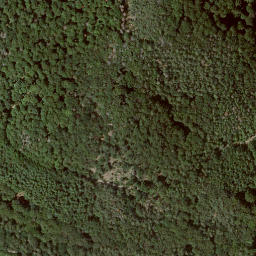 Satellite imagery of Wolfschur, DE