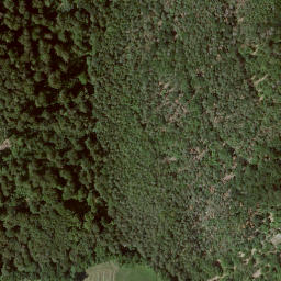 Satellite imagery of Wolfschur, DE
