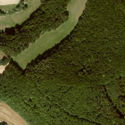 Satellite imagery of Honigberg, DE