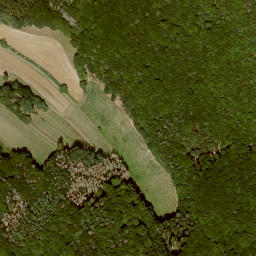Satellite imagery of Spitzenberg, DE