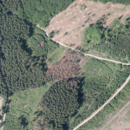 Satellite imagery of Bünte, DE