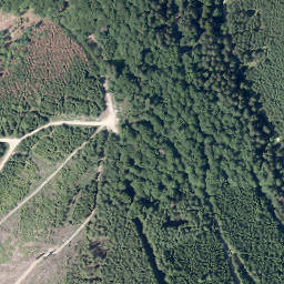 Satellite imagery of Bünte, DE