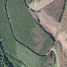 Satellite imagery of Bünte, DE