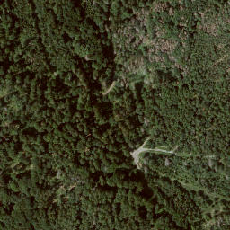 Satellite imagery of Nitter, DE