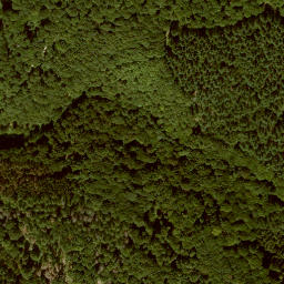 Satellite imagery of Honigberg, DE