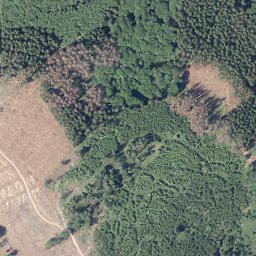 Satellite imagery of Kahler Kopf, DE