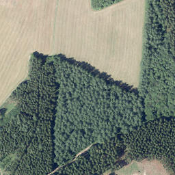 Satellite imagery of Birkeshardt, DE
