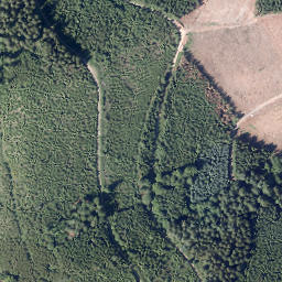 Satellite imagery of Kuhhelle, DE