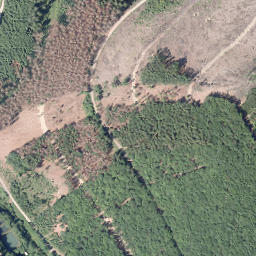 Satellite imagery of Bünte, DE