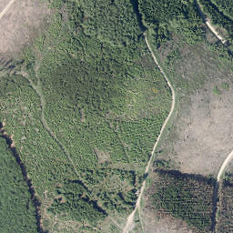Satellite imagery of Bünte, DE